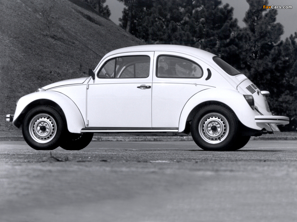 Volkswagen Fusca 1993–96 pictures (1024 x 768)