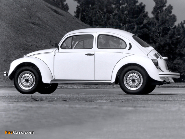 Volkswagen Fusca 1993–96 pictures (640 x 480)