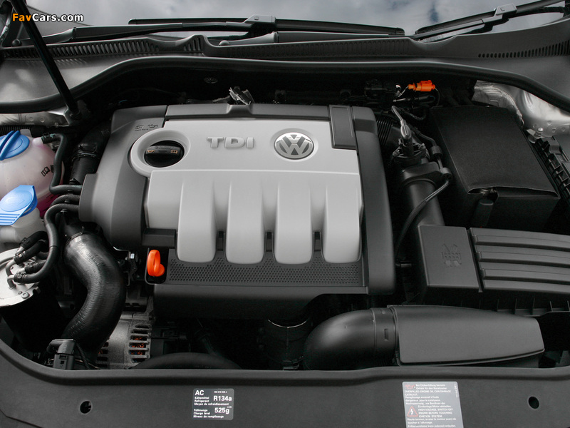 Photos of Volkswagen Golf Blue Motion (Typ 1K) 2008 (800 x 600)