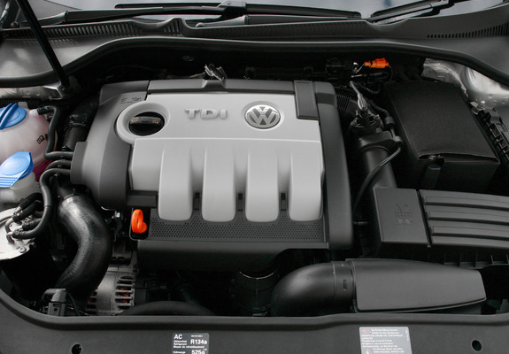 Photos of Volkswagen Golf Blue Motion (Typ 1K) 2008