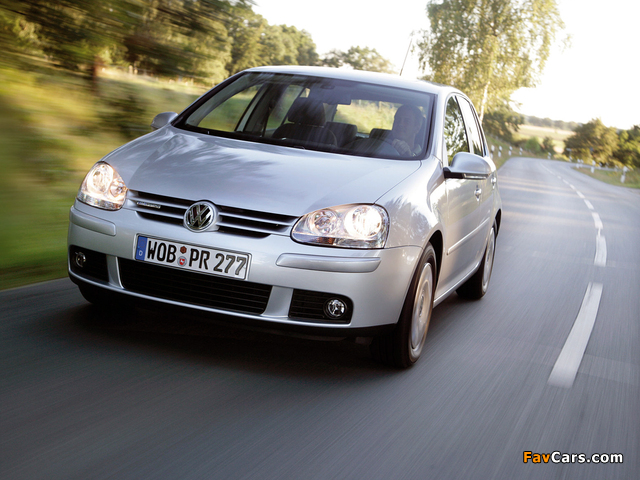 Volkswagen Golf Blue Motion (Typ 1K) 2008 images (640 x 480)