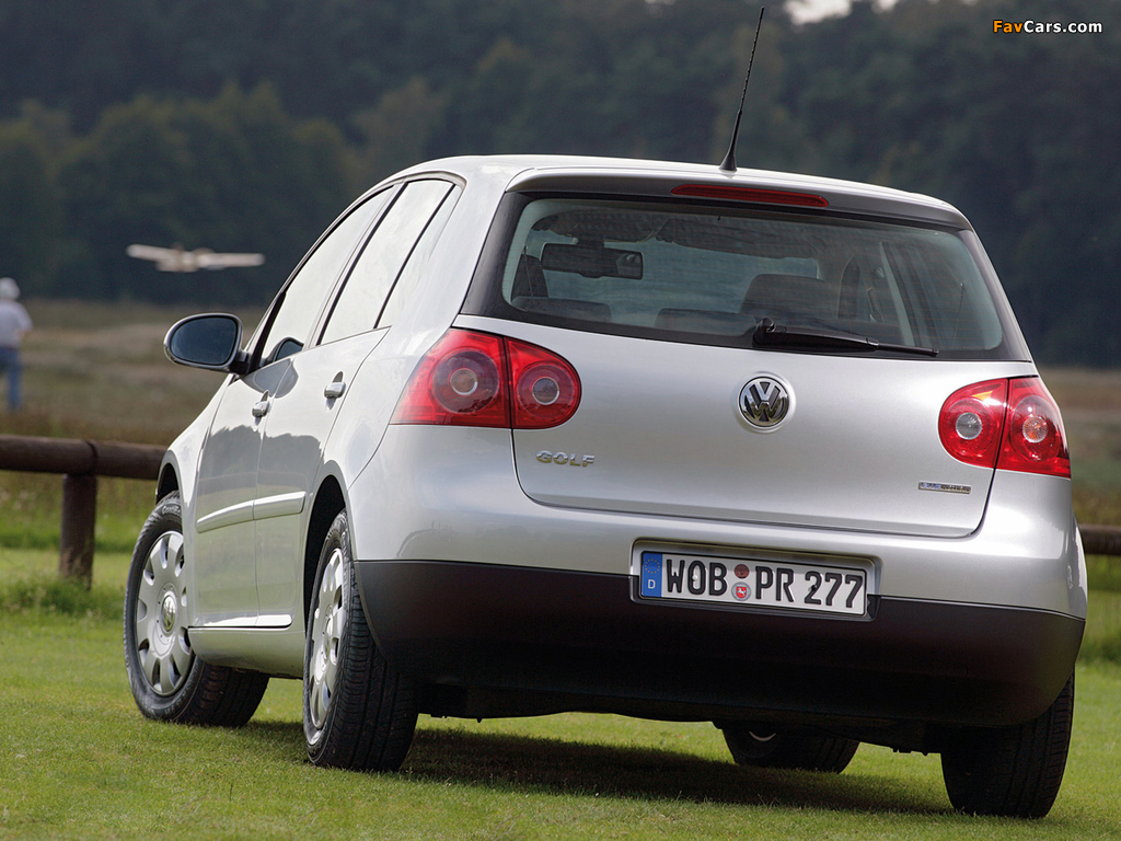 Volkswagen Golf Blue Motion (Typ 1K) 2008 photos (1024 x 768)