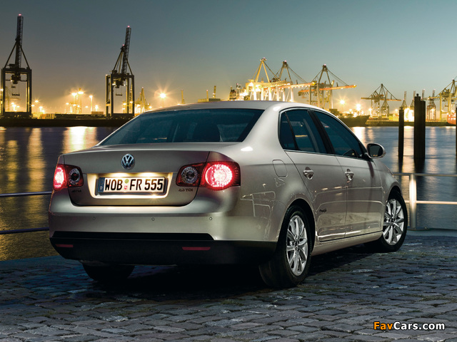 Pictures of Volkswagen Jetta Freestyle (Typ 1K) 2010 (640 x 480)