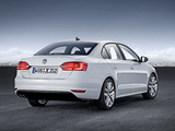 Volkswagen Jetta (Typ 1B) 2010 photos