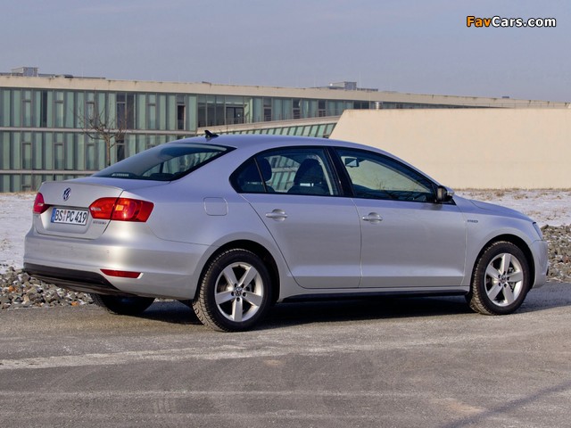 Volkswagen Jetta Hybrid (Typ 1B) 2012 photos (640 x 480)