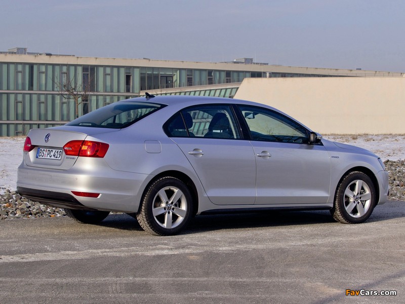 Volkswagen Jetta Hybrid (Typ 1B) 2012 photos (800 x 600)