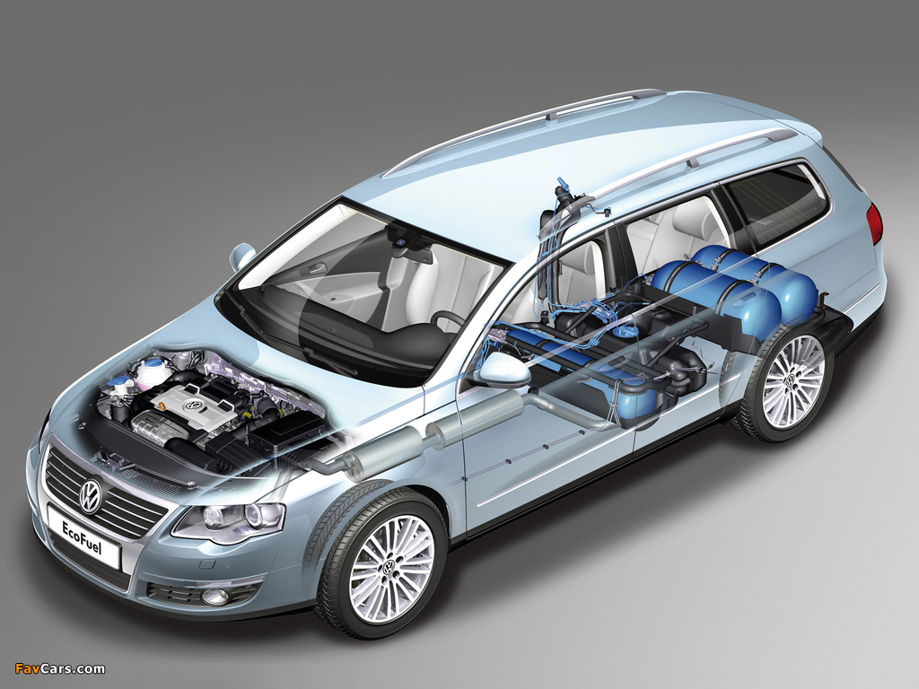 Pictures of Volkswagen Passat EcoFuel Variant (B6) 2009–10 (1024 x 768)