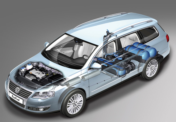 Pictures of Volkswagen Passat EcoFuel Variant (B6) 2009–10