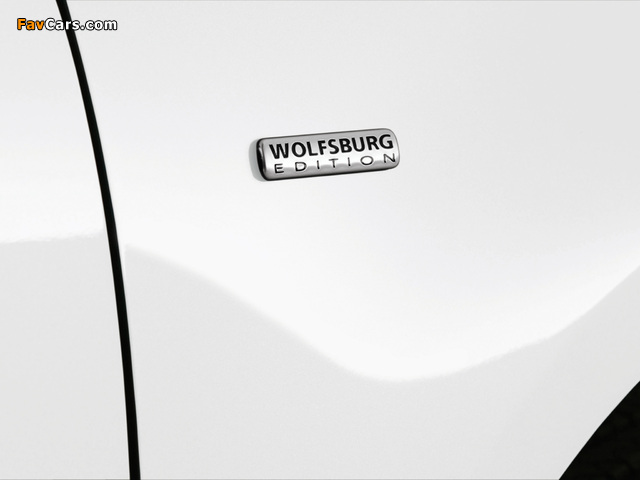 Volkswagen Passat Wolfsburg Edition (B6) 2007 wallpapers (640 x 480)