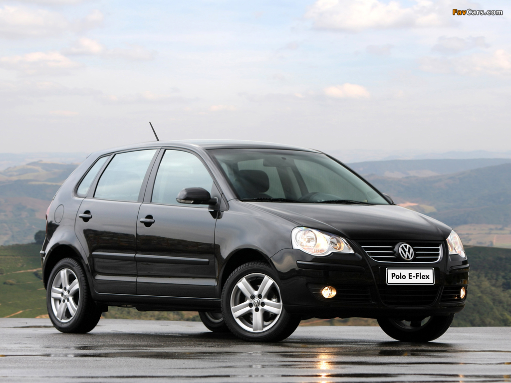 Images of Volkswagen Polo E-Flex 5-door (Typ 9N3) 2009 (1024 x 768)