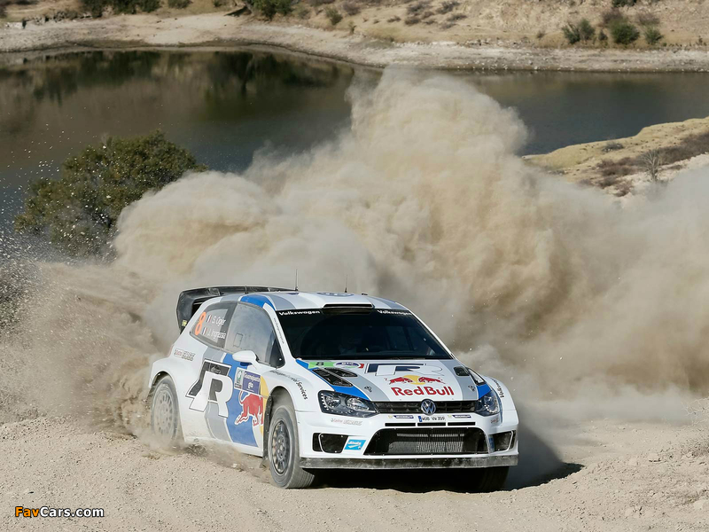 Images of Volkswagen Polo R WRC (Typ 6R) 2013 (800 x 600)