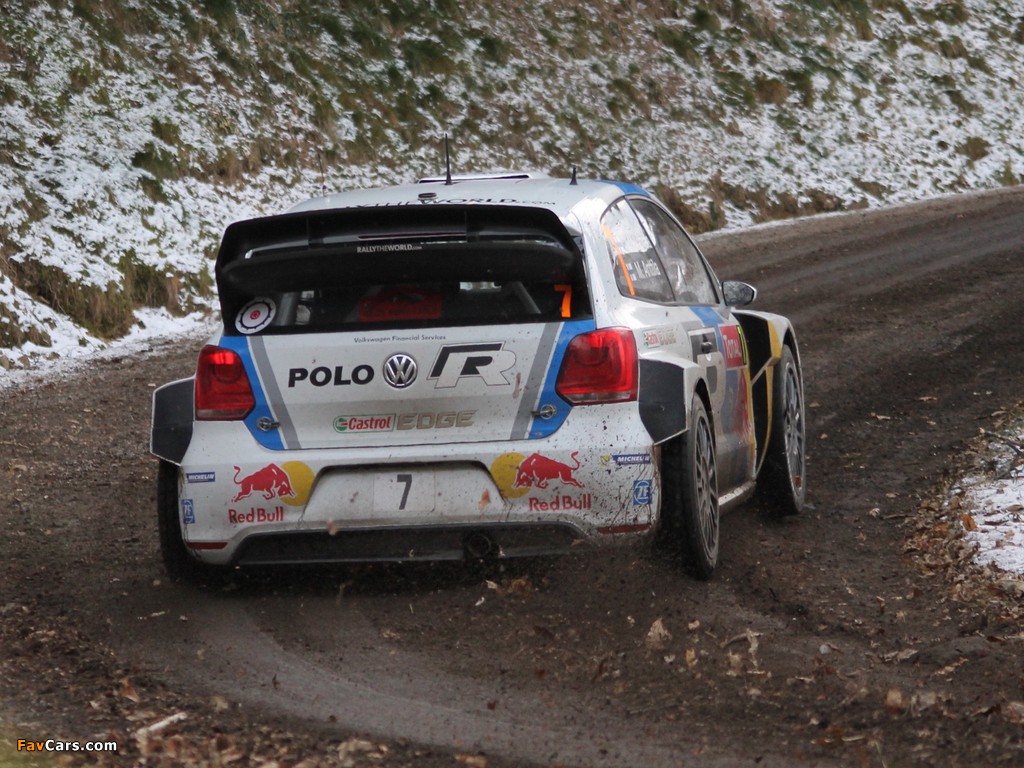 Images of Volkswagen Polo R WRC (Typ 6R) 2013 (1024 x 768)