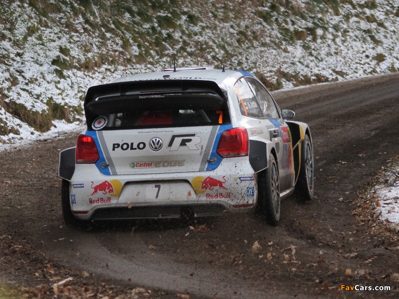 Images of Volkswagen Polo R WRC (Typ 6R) 2013 (800 x 600)