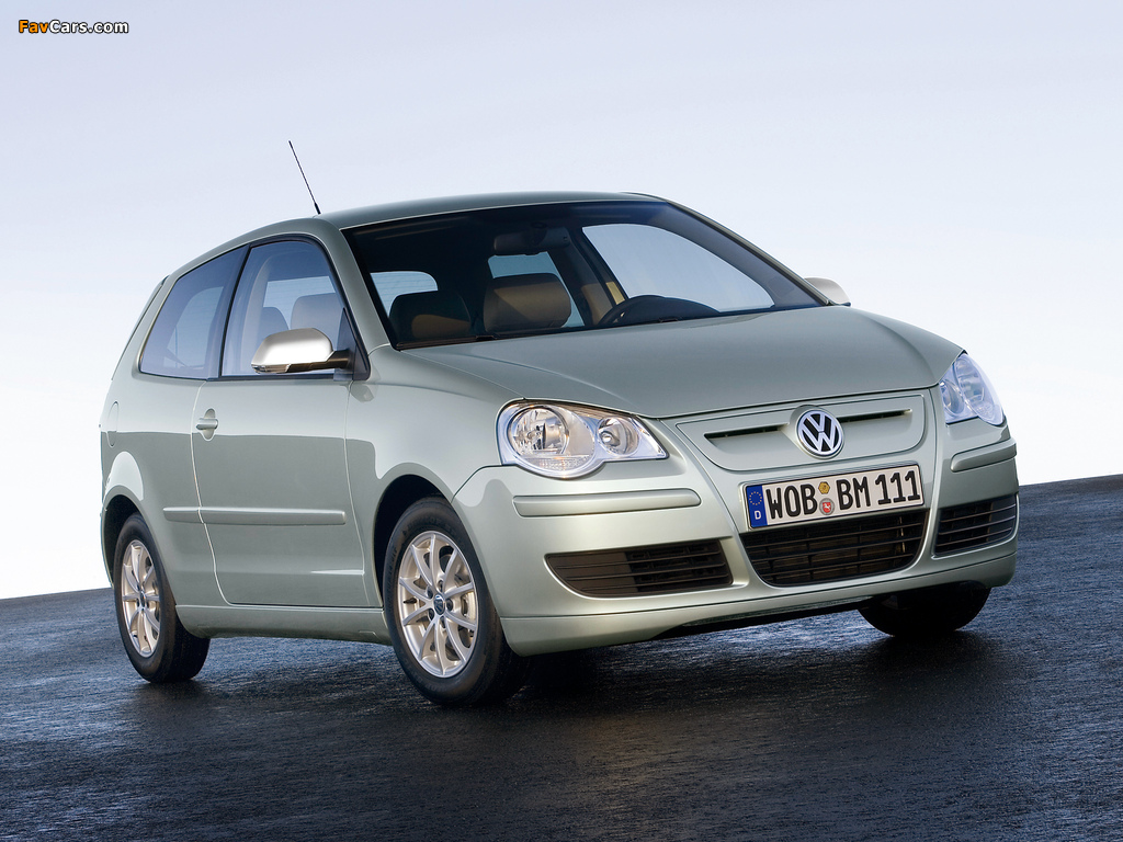 Photos of Volkswagen Polo BlueMotion (Typ 9N3) 2006–09 (1024 x 768)