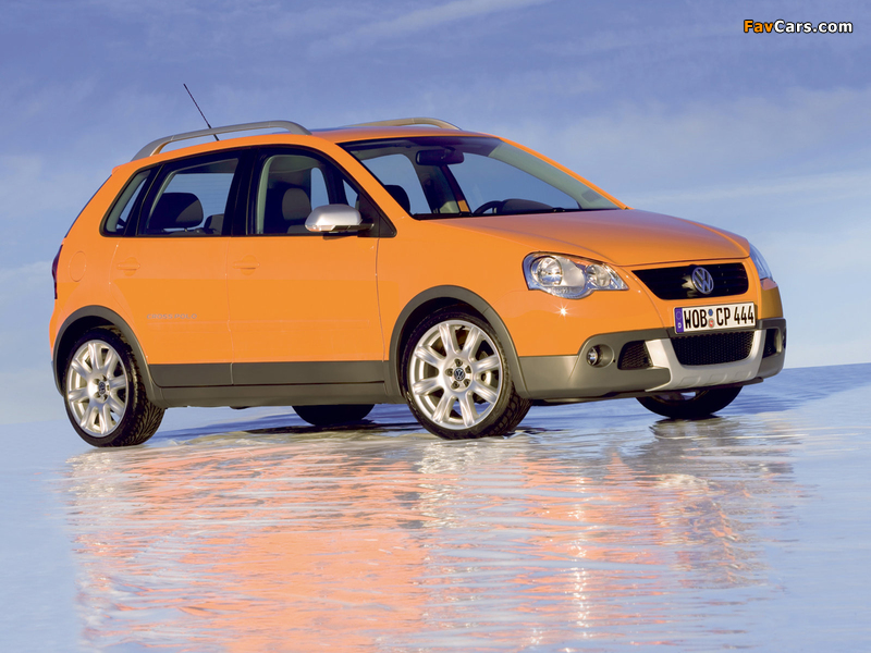 Photos of Volkswagen CrossPolo (Typ 9N3) 2006–09 (800 x 600)