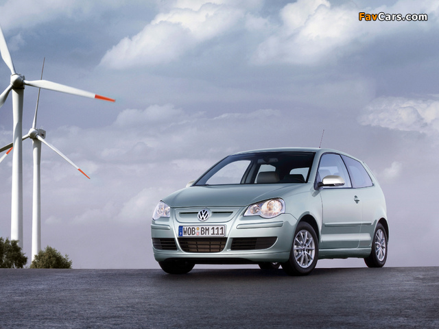 Photos of Volkswagen Polo BlueMotion (Typ 9N3) 2006–09 (640 x 480)