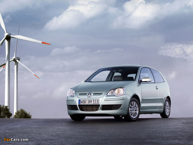Photos of Volkswagen Polo BlueMotion (Typ 9N3) 2006–09 (800 x 600)
