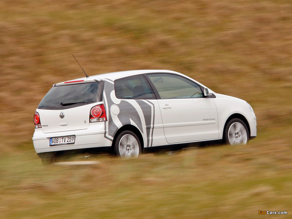Photos of Volkswagen Polo Werder Edition (Typ 9N3) 2008 (1024 x 768)