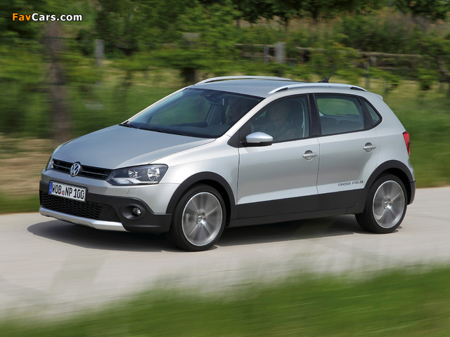 Pictures of Volkswagen CrossPolo (Typ 6R) 2010 (640 x 480)