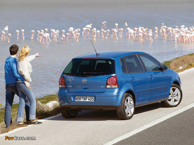 Volkswagen Polo 5-door (Typ 9N3) 2005–09 pictures (640 x 480)