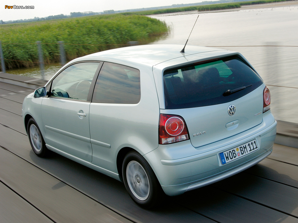 Volkswagen Polo BlueMotion (Typ 9N3) 2006–09 photos (1024 x 768)
