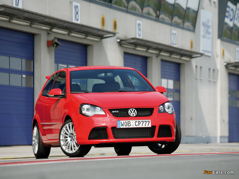 Volkswagen Polo GTI Cup Edition (IVf) 2006 pictures (800 x 600)