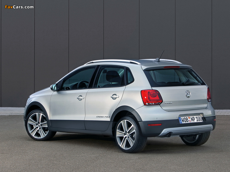 Volkswagen CrossPolo (Typ 6R) 2010 photos (800 x 600)