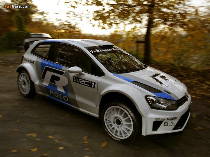 Volkswagen Polo R WRC Prototype (Typ 6R) 2011–12 images (800 x 600)