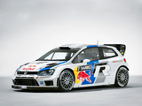Volkswagen Polo R WRC (Typ 6R) 2013 images