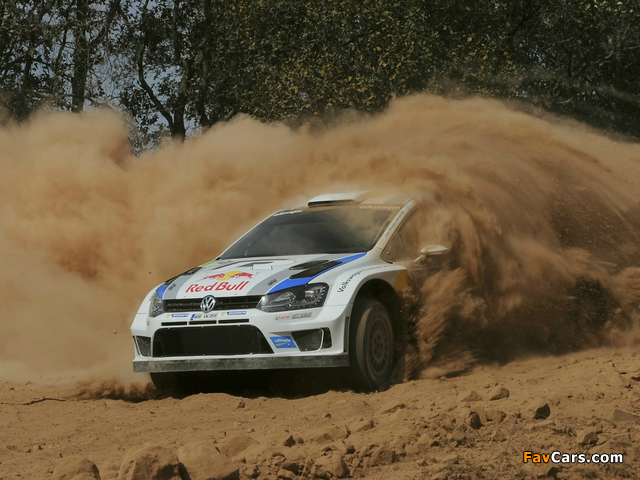 Volkswagen Polo R WRC (Typ 6R) 2013 images (640 x 480)