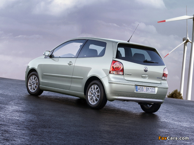 Volkswagen Polo BlueMotion (Typ 9N3) 2006–09 wallpapers (640 x 480)