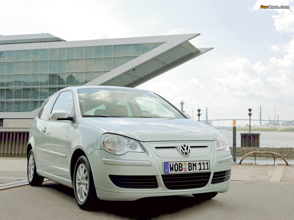 Volkswagen Polo BlueMotion (Typ 9N3) 2006–09 wallpapers (1024 x 768)