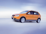 Volkswagen CrossPolo (Typ 9N3) 2006–09 wallpapers