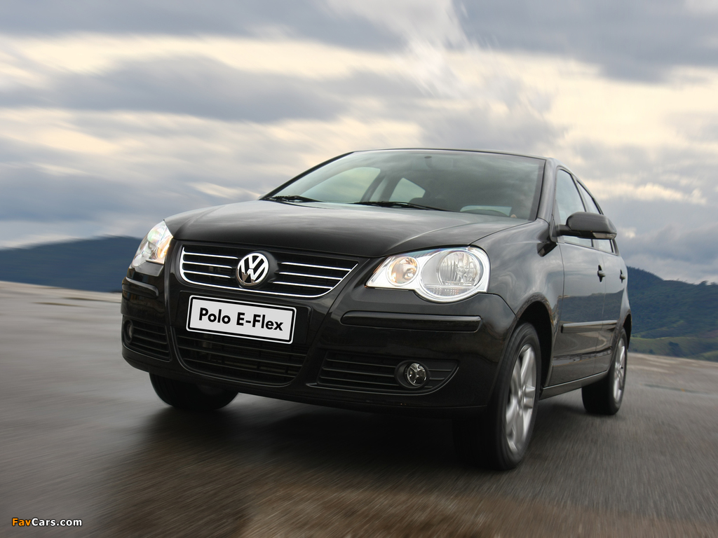 Volkswagen Polo E-Flex 5-door (Typ 9N3) 2009 wallpapers (1024 x 768)