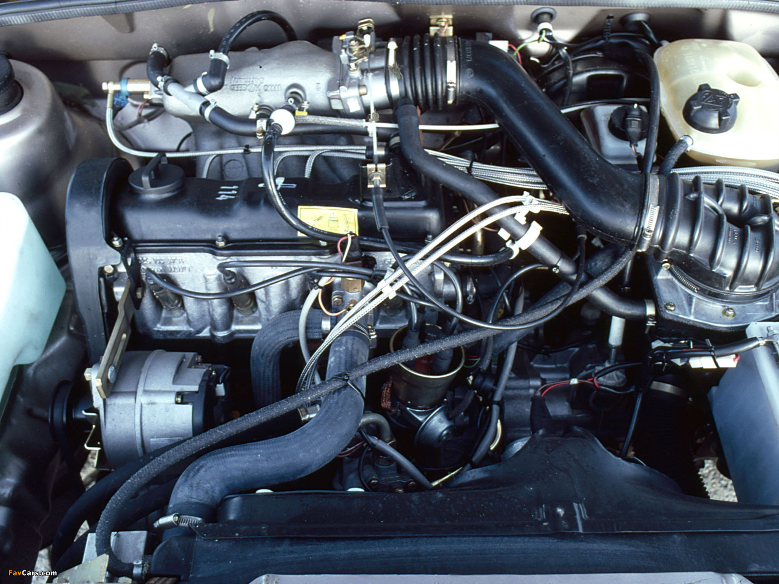 Volkswagen Scirocco GLI 1981–82 images (1600 x 1200)