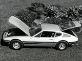 Volkswagen SP2 1972–76 photos