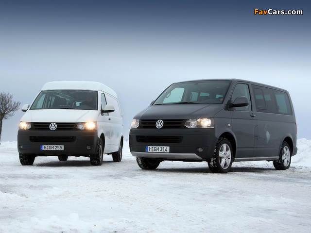 Photos of Volkswagen T5 (640 x 480)