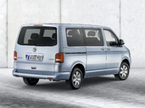 Volkswagen T5 Multivan BlueMotion 2011 images