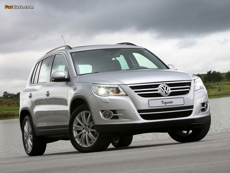 Images of Volkswagen Tiguan 2008–11 (800 x 600)