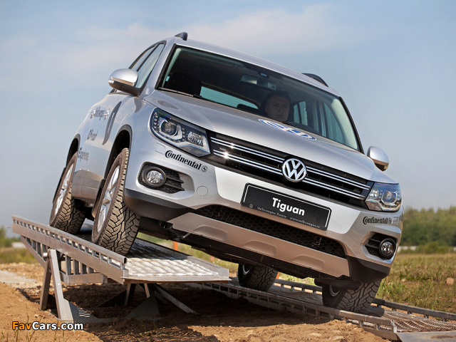 Images of Volkswagen Tiguan Track & Style 2011 (640 x 480)