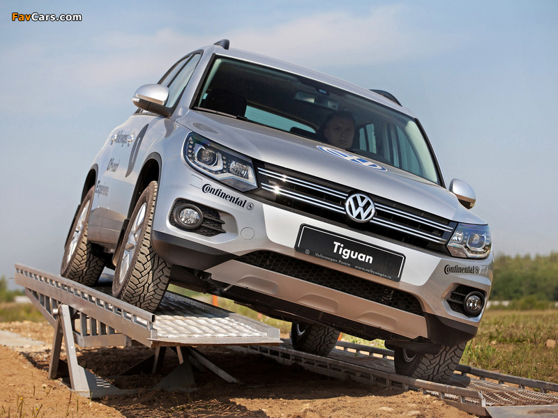 Images of Volkswagen Tiguan Track & Style 2011 (800 x 600)