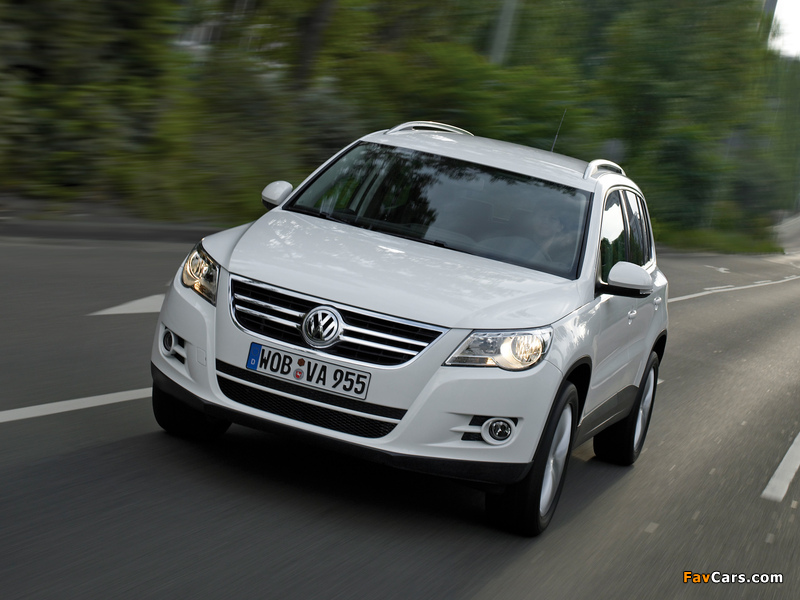 Photos of Volkswagen Tiguan 2008–11 (800 x 600)