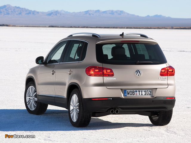 Photos of Volkswagen Tiguan Sport & Style 2011 (640 x 480)