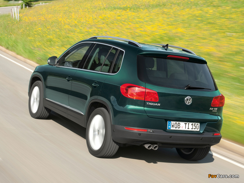 Pictures of Volkswagen Tiguan Sport & Style 2011 (800 x 600)