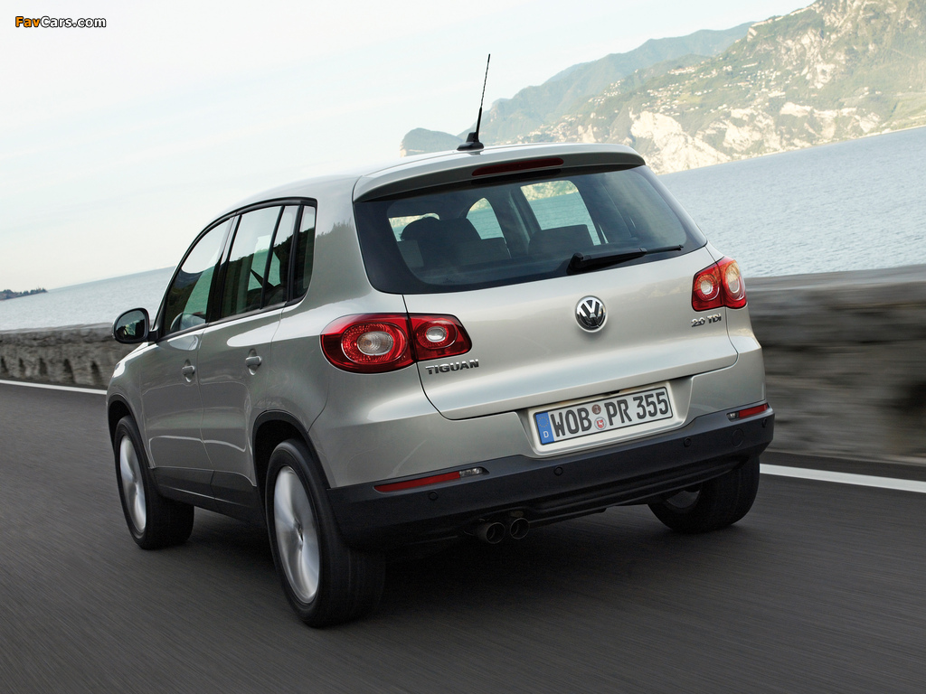 Volkswagen Tiguan 2008–11 images (1024 x 768)