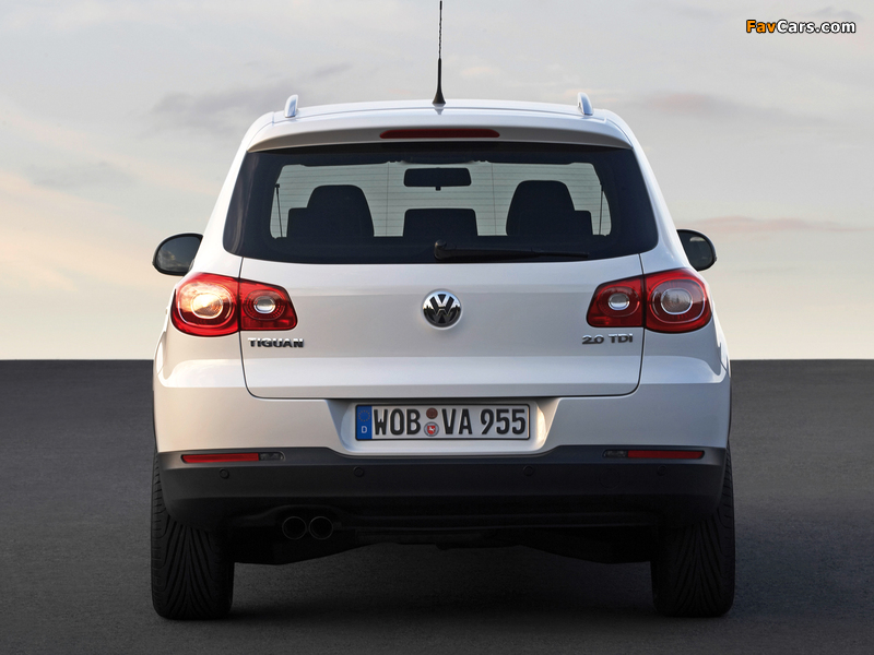 Volkswagen Tiguan 2008–11 wallpapers (800 x 600)