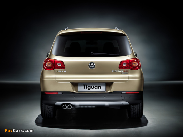 Volkswagen Tiguan CN-spec 2009 images (640 x 480)