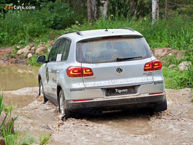 Volkswagen Tiguan Track & Style 2011 images (640 x 480)