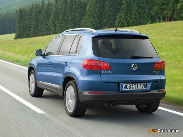 Volkswagen Tiguan Sport & Style 2011 wallpapers (640 x 480)