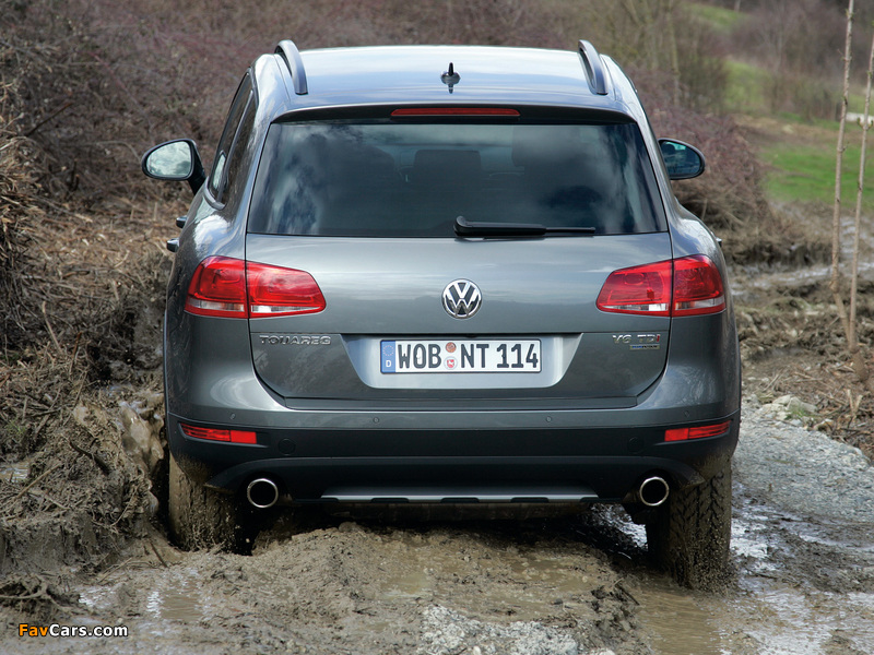 Pictures of Volkswagen Touareg V6 TDI Terrain Tech Paket 2010 (800 x 600)